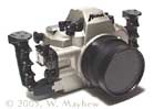 Nexus Housing for the Nikon F-100 camera, underwater